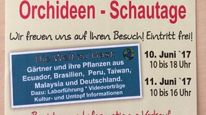 Plakat mit Terminen und Angeboten zu den Orchideen Schautagen 2017 © Stadt SHS | Orchideen Röllke
