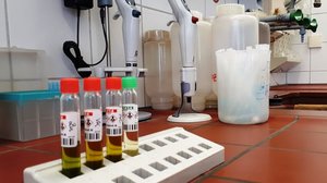 Vier Proben auf rotbraunen Fliesen im Klärwerk-Labor