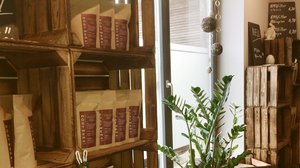 Verkaufsregale mit Kaffeepackungen und Pflanze vor einem Fenster im Röstwerk SHS